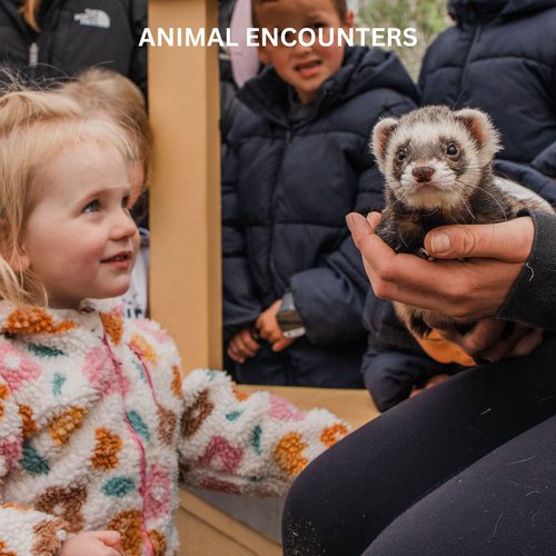 Animal Encounters