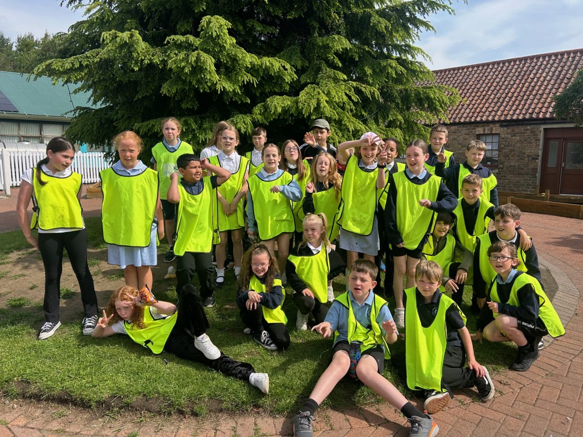 Education and Discovery