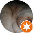 Лена Яременко Ноур profile picture