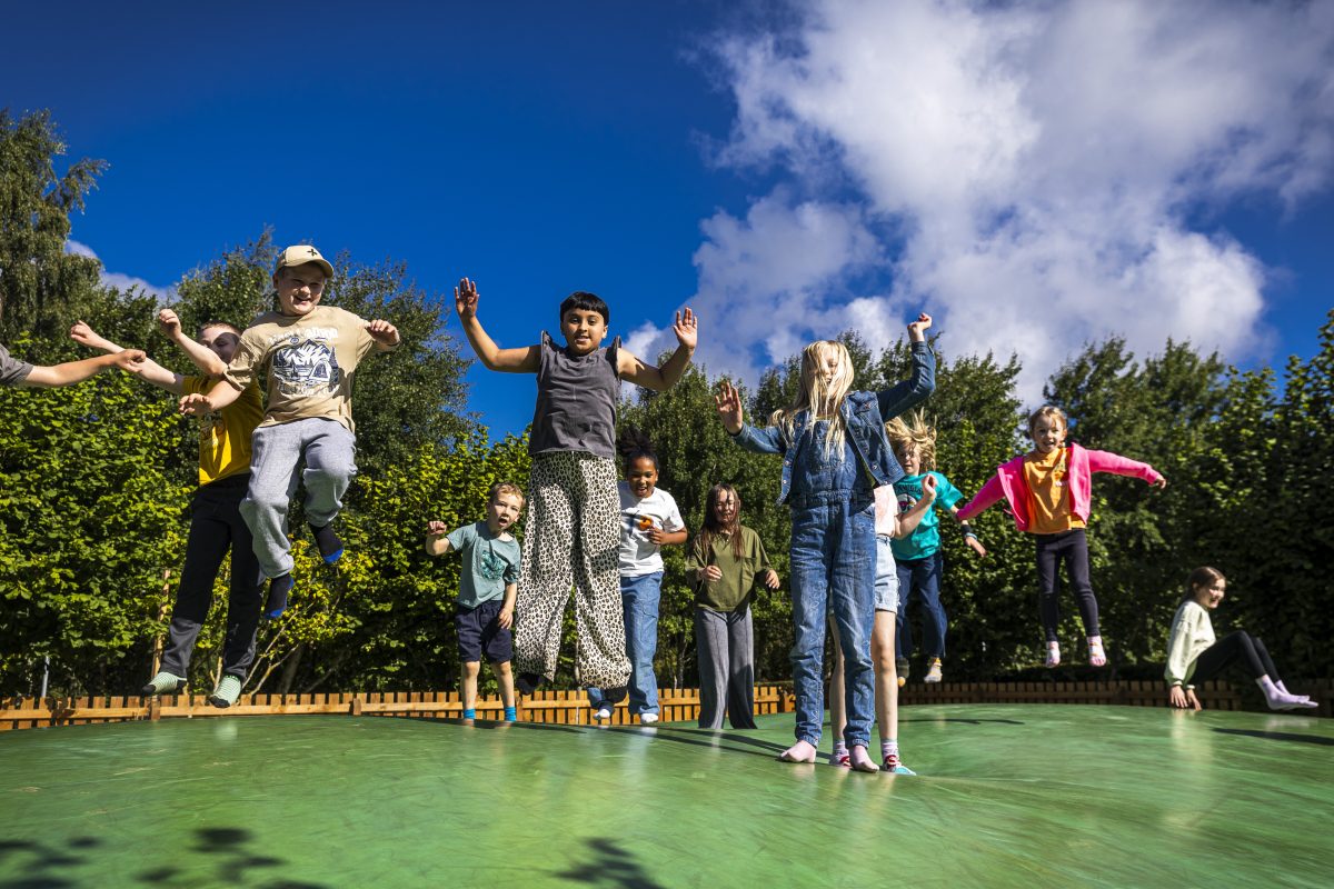 A group of children are on the trampoline. It's a bright sunny day.